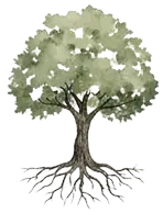 Arbre avec racines visibles symbolisant la stabilité et les fondations